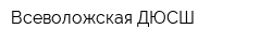 Всеволожская ДЮСШ