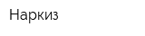 Наркиз
