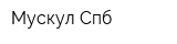 Мускул Спб