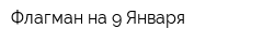 Флагман на 9 Января