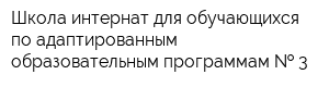 Школа-интернат для обучающихся по адаптированным образовательным программам   3