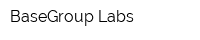 BaseGroup Labs