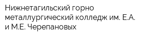 Нижнетагильский горно-металлургический колледж им ЕА и МЕ Черепановых