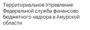 Территориальное Управление Федеральной службы финансово-бюджетного надзора в Амурской области