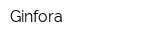 Ginfora