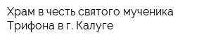 Храм в честь святого мученика Трифона в г Калуге