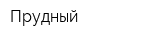 Прудный