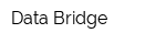 Data Bridge