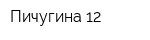 Пичугина 12