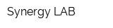 Synergy LAB