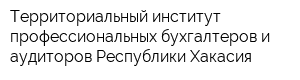 Территориальный институт профессиональных бухгалтеров и аудиторов Республики Хакасия