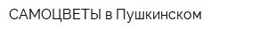 САМОЦВЕТЫ в Пушкинском