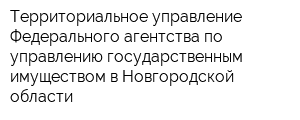 Территориальное управление Федерального агентства по управлению государственным имуществом в Новгородской области