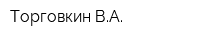 Торговкин ВА