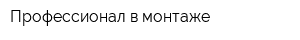 Профессионал в монтаже