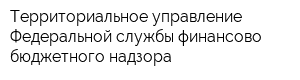 Территориальное управление Федеральной службы финансово-бюджетного надзора