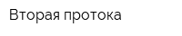 Вторая протока