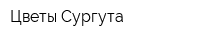Цветы Сургута