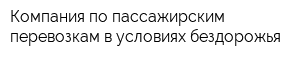 Компания по пассажирским перевозкам в условиях бездорожья