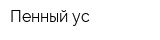 Пенный ус