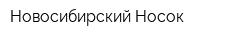 Новосибирский Носок