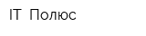 IT- Полюс