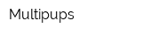 Multipups