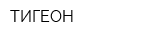 ТИГЕОН