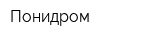 Понидром
