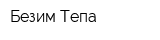Безим Тепа