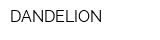 DANDELION