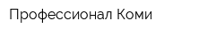 Профессионал Коми