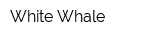 White Whale