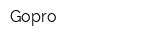 Gopro