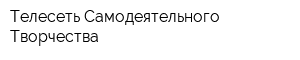 Телесеть Самодеятельного Творчества