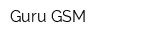 Guru-GSM