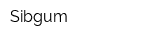 Sibgum