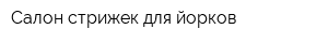 Салон стрижек для йорков