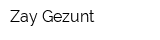 Zay Gezunt