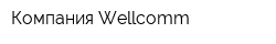 Компания Wellcomm