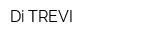 Di TREVI