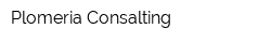 Plomeria Consalting