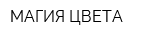 МАГИЯ ЦВЕТА