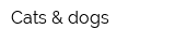 Cats & dogs