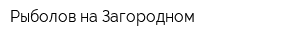 Рыболов на Загородном