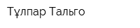 Тұлпар-Тальго