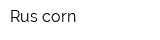 Rus corn