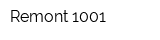 Remont-1001