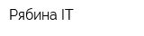 Рябина IT