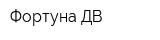 Фортуна ДВ